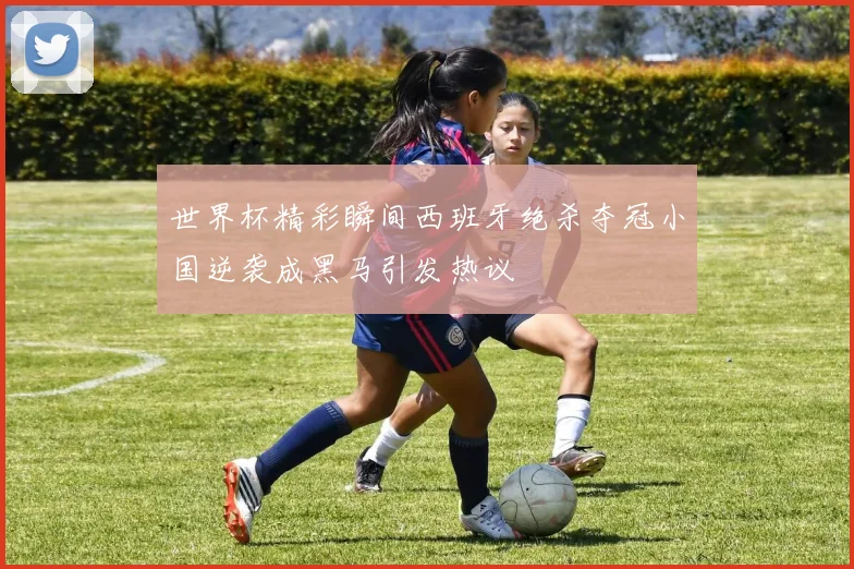 世界杯精彩瞬间西班牙绝杀夺冠小国逆袭成黑马引发热议